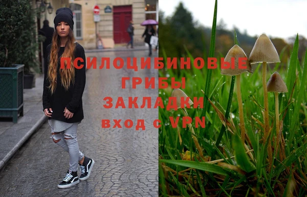 кокс Алексин