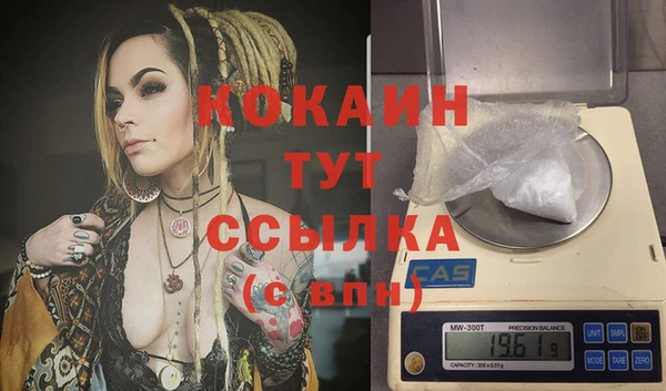 кокс Алексин
