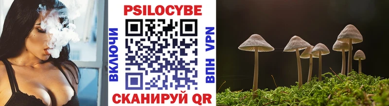 Псилоцибиновые грибы Magic Shrooms  закладки  omg tor  Мегион 