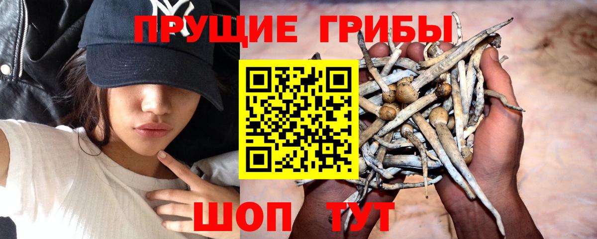 Псилоцибиновые грибы мицелий  Вход с VPN  где купить наркоту  Мегион 